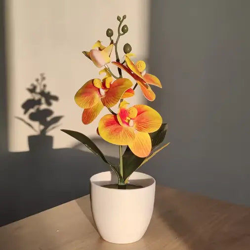 Orchidée Lumea House